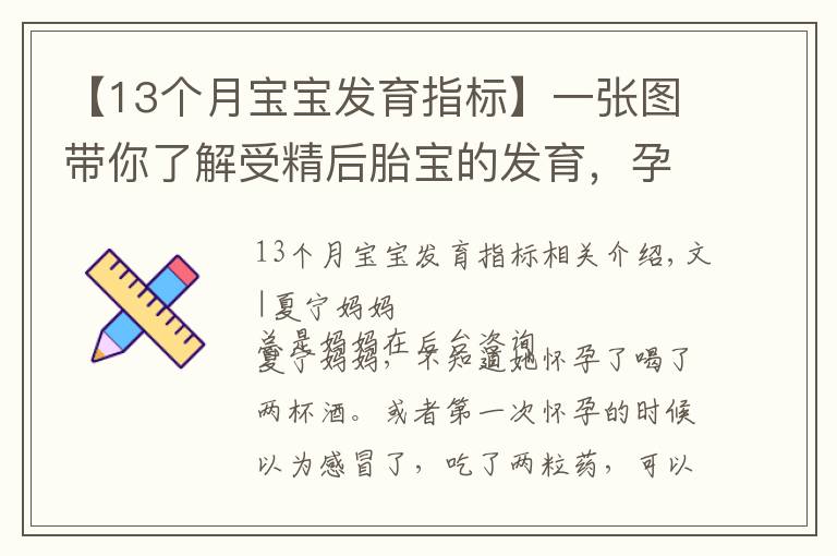 【13个月宝宝发育指标】一张图带你了解受精后胎宝的发育，孕妈早清楚避免畸形发生