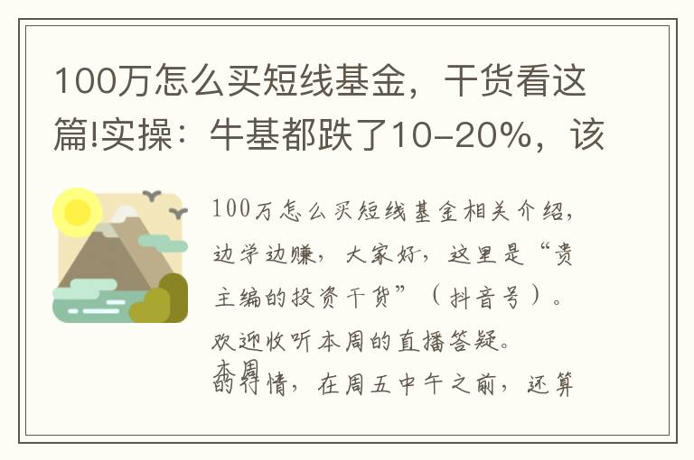 100万怎么买短线基金，干货看这篇!实操：牛基都跌了10-20%，该怎么补仓、换仓？