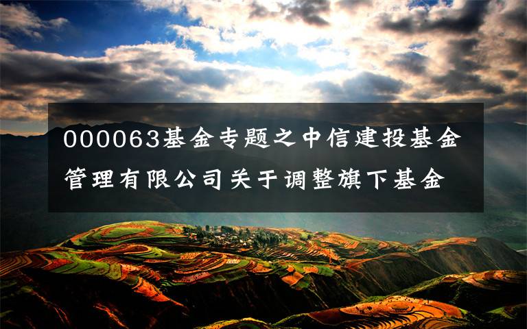 000063基金专题之中信建投基金管理有限公司关于调整旗下基金所持有的“中兴通讯”股票估值方法的公告