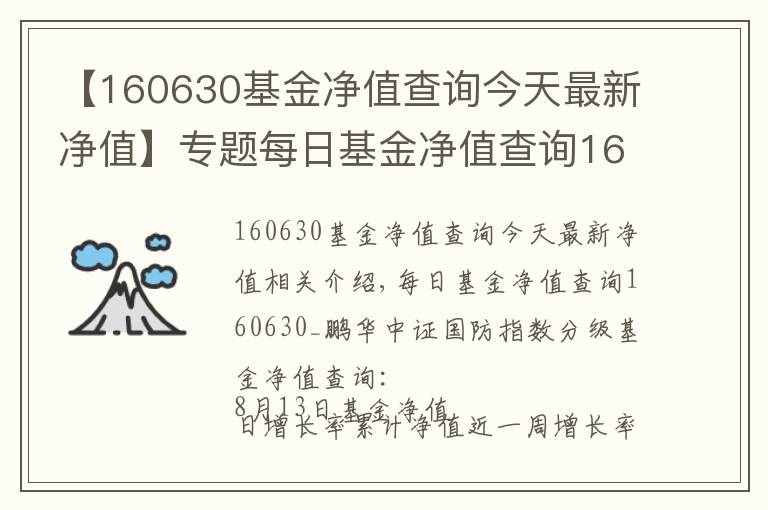 【160630基金净值查询今天最新净值】专题每日基金净值查询160630