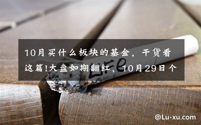 10月买什么板块的基金，干货看这篇!大盘如期翻红，10月29日个人基金分享