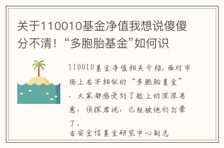 关于110010基金净值我想说傻傻分不清！“多胞胎基金”如何识别？