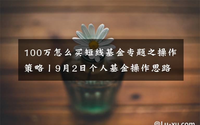 100万怎么买短线基金专题之操作策略丨9月2日个人基金操作思路