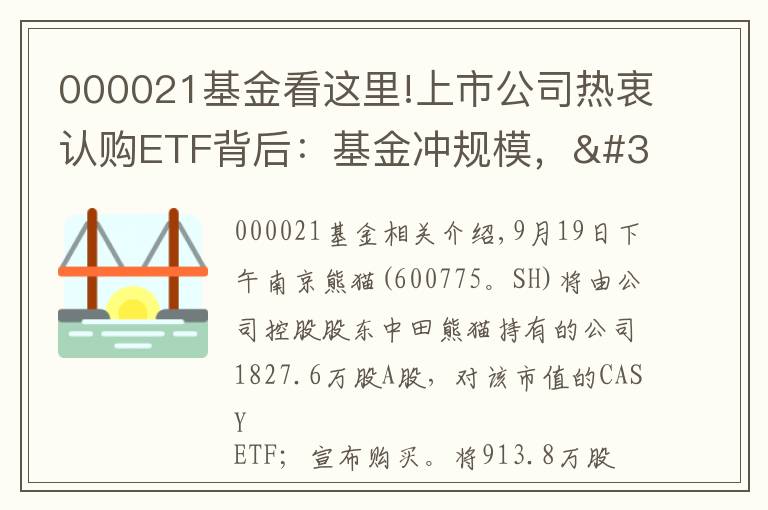 000021基金看这里!上市公司热衷认购ETF背后：基金冲规模，"利器"难长久