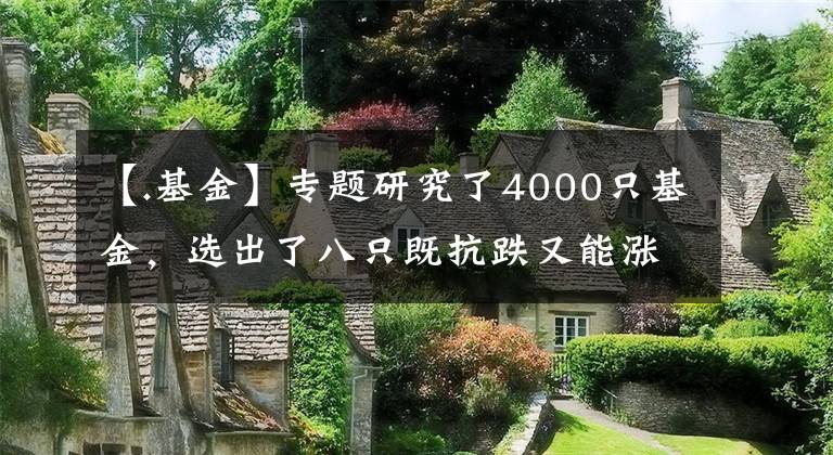 【.基金】专题研究了4000只基金，选出了八只既抗跌又能涨的宝藏基金...