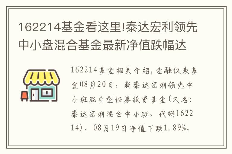 162214基金看这里!泰达宏利领先中小盘混合基金最新净值跌幅达1.89%