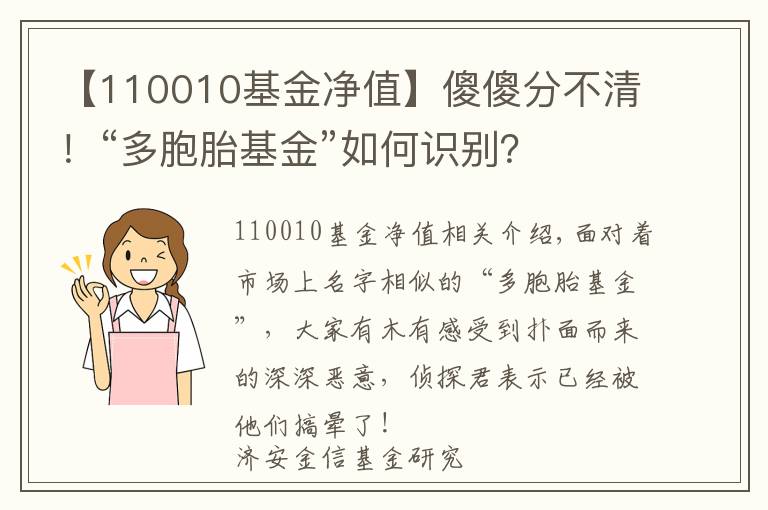 【110010基金净值】傻傻分不清！“多胞胎基金”如何识别？