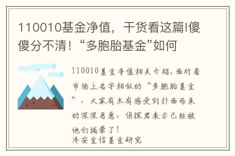 110010基金净值，干货看这篇!傻傻分不清！“多胞胎基金”如何识别？