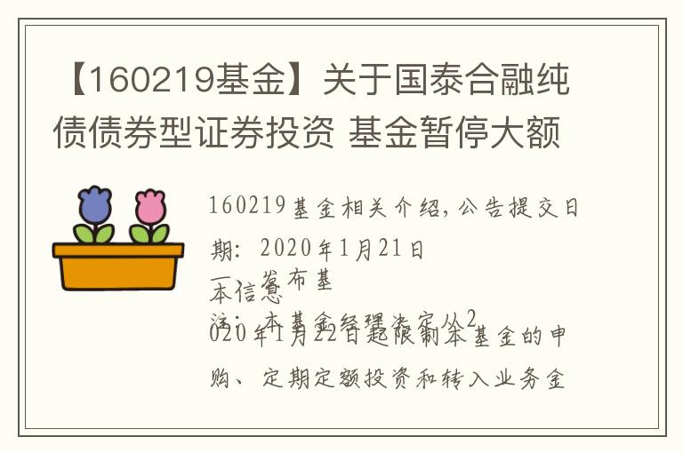 【160219基金】关于国泰合融纯债债券型证券投资 基金暂停大额申购（含定投）及转换转入业务的公告