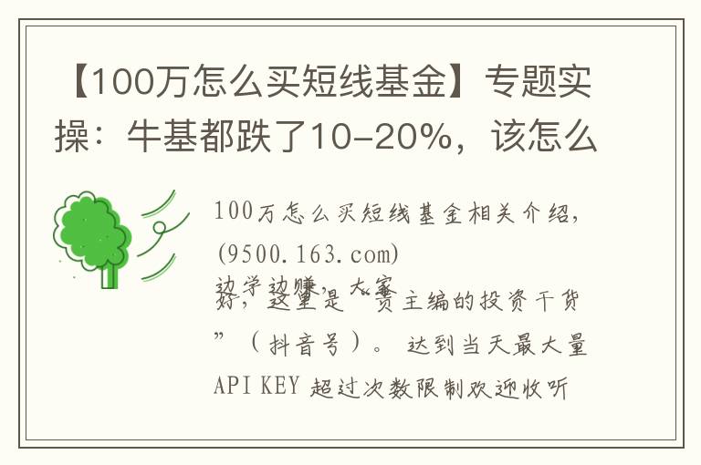 【100万怎么买短线基金】专题实操：牛基都跌了10-20%，该怎么补仓、换仓？