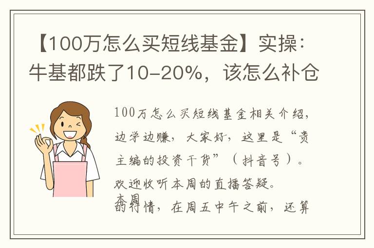 【100万怎么买短线基金】实操：牛基都跌了10-20%，该怎么补仓、换仓？