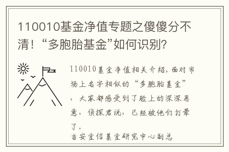 110010基金净值专题之傻傻分不清！“多胞胎基金”如何识别？