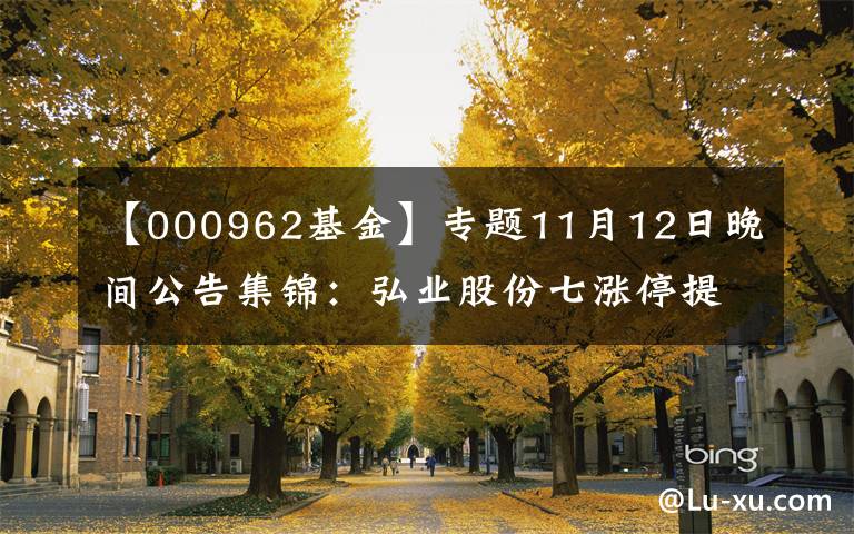 【000962基金】专题11月12日晚间公告集锦：弘业股份七涨停提示风险