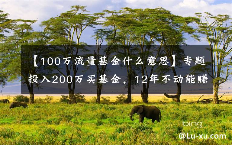 【100万流量基金什么意思】专题投入200万买基金，12年不动能赚多少钱？这位投资者浮盈1400万！“史上最强基民”是如何躺赚的？