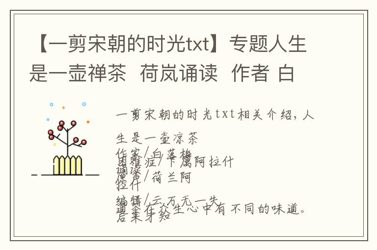 【一剪宋朝的时光txt】专题人生是一壶禅茶  荷岚诵读  作者 白落梅 经典之声