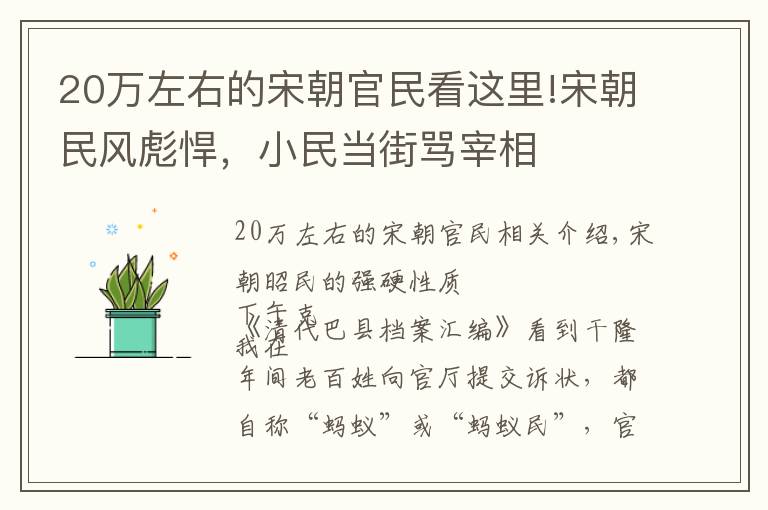 20万左右的宋朝官民看这里!宋朝民风彪悍，小民当街骂宰相