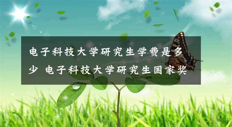 电子科技大学研究生学费是多少 电子科技大学研究生国家奖学金