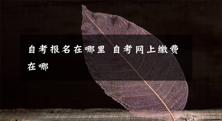 自考报名在哪里 自考网上缴费在哪