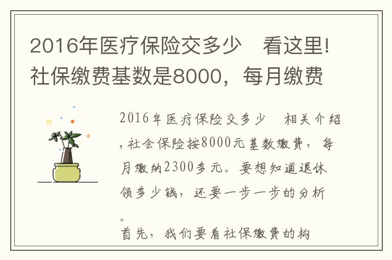 2016年医疗保险交多少	看这里!社保缴费基数是8000，每月缴费2300多元，退休养老金能领多少？