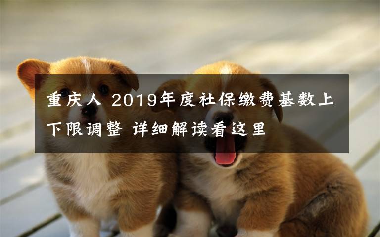 重庆人 2019年度社保缴费基数上下限调整 详细解读看这里