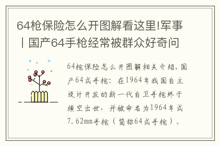 64枪保险怎么开图解看这里!军事丨国产64手枪经常被群众好奇问，你们这枪是真的还是塑料的