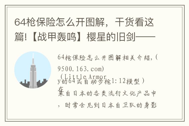 64枪保险怎么开图解，干货看这篇!【战甲轰鸣】樱星的旧剑——丰和64式自动步枪小史