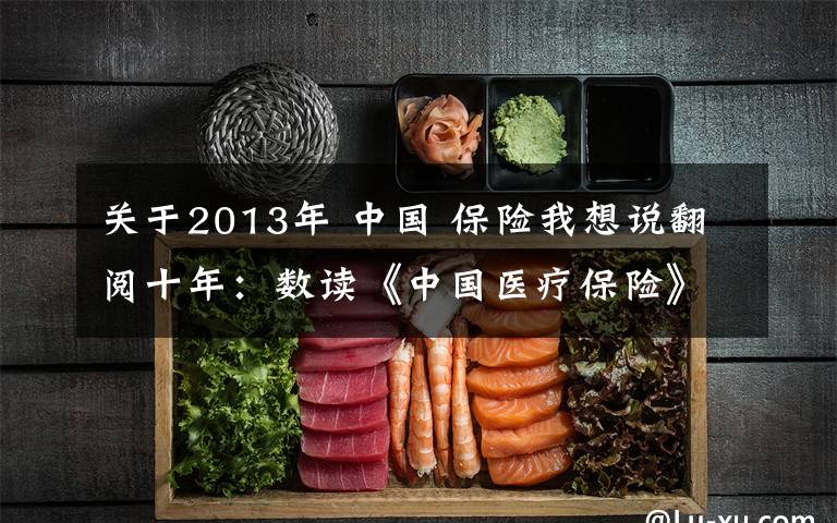 关于2013年 中国 保险我想说翻阅十年：数读《中国医疗保险》