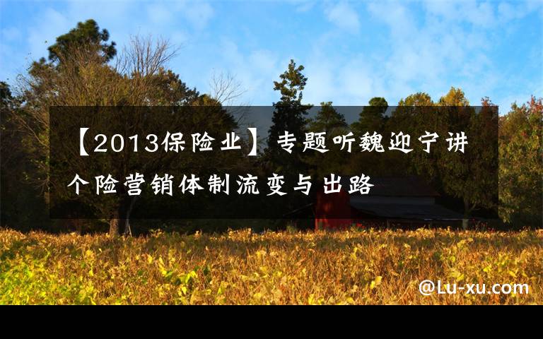 【2013保险业】专题听魏迎宁讲个险营销体制流变与出路