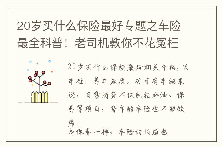 20岁买什么保险最好专题之车险最全科普！老司机教你不花冤枉钱