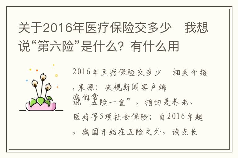 关于2016年医疗保险交多少	我想说“第六险”是什么？有什么用？了解一下