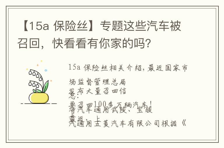 【15a 保险丝】专题这些汽车被召回，快看看有你家的吗？