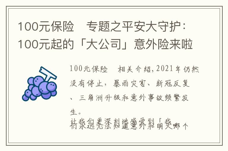 100元保险	专题之平安大守护：100元起的「大公司」意外险来啦