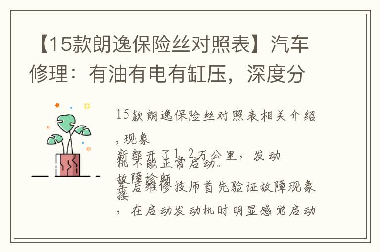 【15款朗逸保险丝对照表】汽车修理：有油有电有缸压，深度分析全新朗逸为啥无法启动？