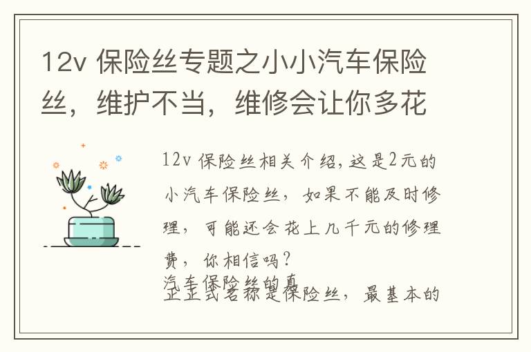 12v 保险丝专题之小小汽车保险丝，维护不当，维修会让你多花几千块？