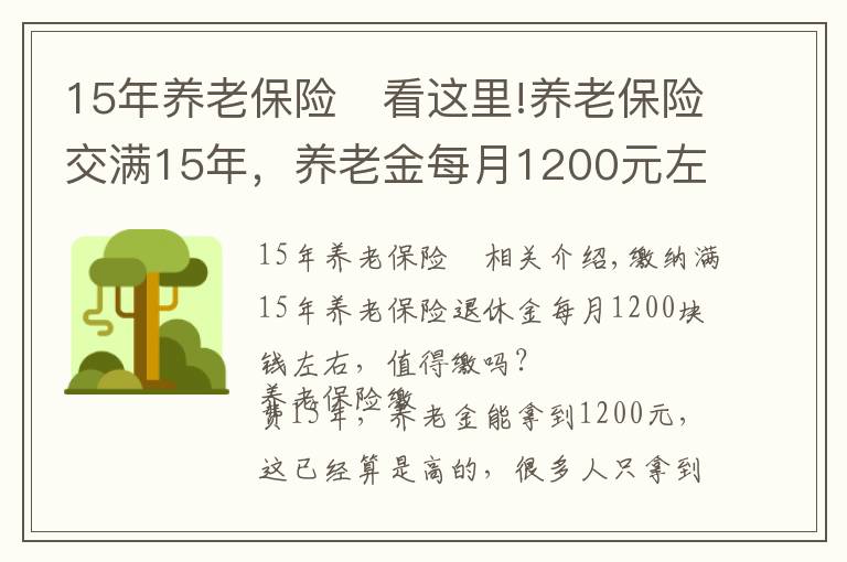 15年养老保险	看这里!养老保险交满15年，养老金每月1200元左右，值得缴吗？