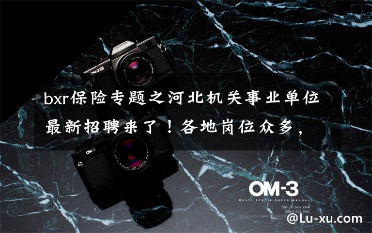 bxr保险专题之河北机关事业单位最新招聘来了！各地岗位众多，抓紧报名