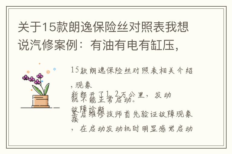 关于15款朗逸保险丝对照表我想说汽修案例：有油有电有缸压，深度分析全新朗逸为啥无法启动？