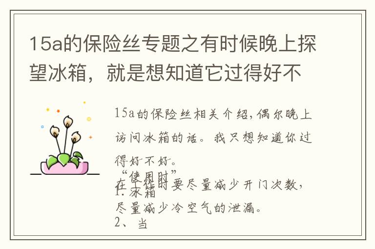 15a的保险丝专题之有时候晚上探望冰箱，就是想知道它过得好不好