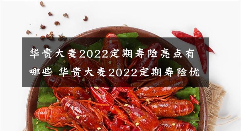 华贵大麦2022定期寿险亮点有哪些 华贵大麦2022定期寿险优缺点