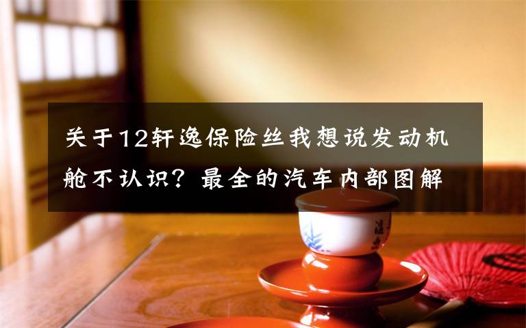 关于12轩逸保险丝我想说发动机舱不认识？最全的汽车内部图解，驾校都教不了这么细