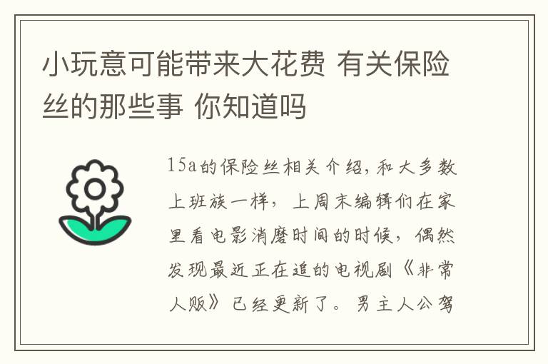 小玩意可能带来大花费 有关保险丝的那些事 你知道吗