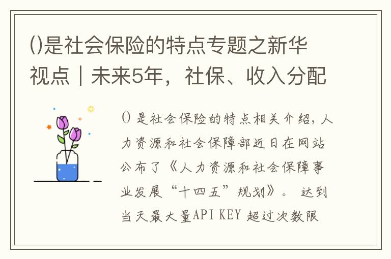 是社会保险的特点专题之新华视点｜未来5年，社保、收入分配、养老金等将迎来六大变化