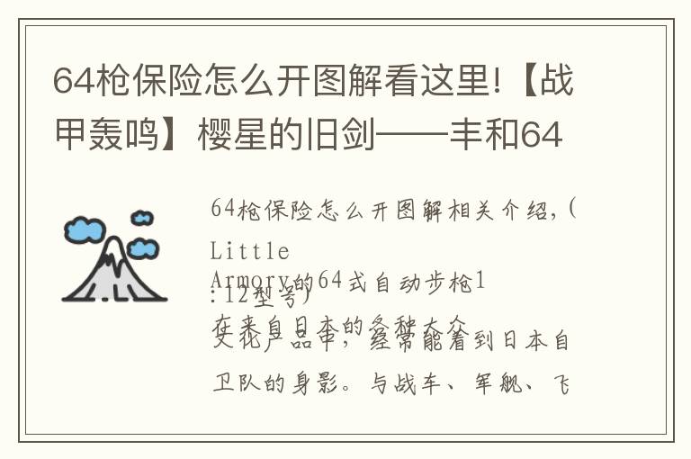 64枪保险怎么开图解看这里!【战甲轰鸣】樱星的旧剑——丰和64式自动步枪小史