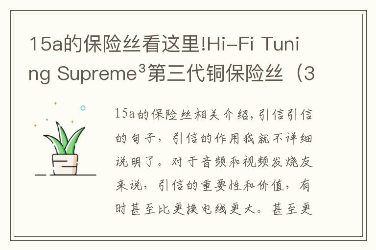 15a的保险丝看这里!Hi-Fi Tuning Supreme³第三代铜保险丝（3.15A）