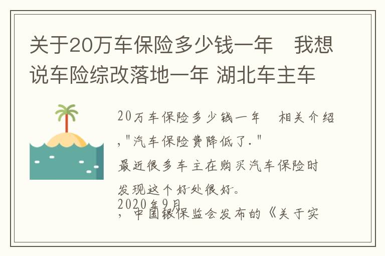 关于20万车保险多少钱一年	我想说车险综改落地一年 湖北车主车均保费降了481元