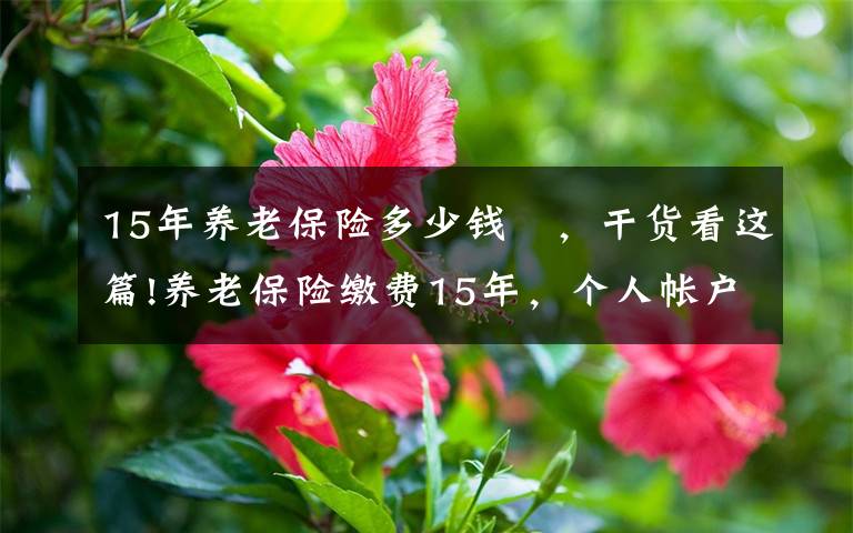 15年养老保险多少钱 ，干货看这篇!养老保险缴费15年，个人帐户养老金4万多，50岁退休拿多少钱？