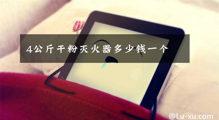 4公斤干粉灭火器多少钱一个