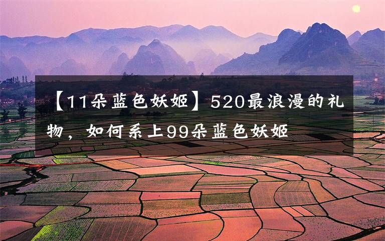 【11朵蓝色妖姬】520最浪漫的礼物，如何系上99朵蓝色妖姬