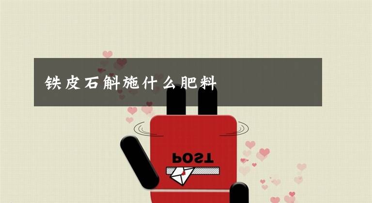 铁皮石斛施什么肥料