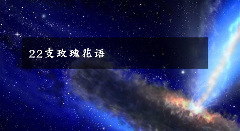 22支玫瑰花语